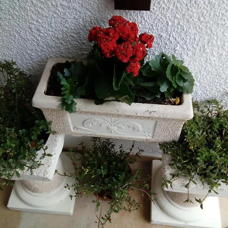 Appartement Bela Vista *