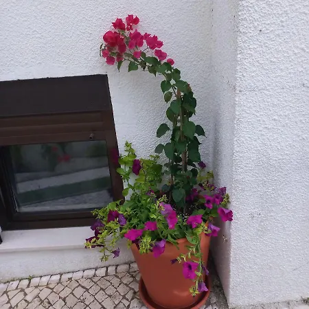 Appartement Bela Vista Nazaré